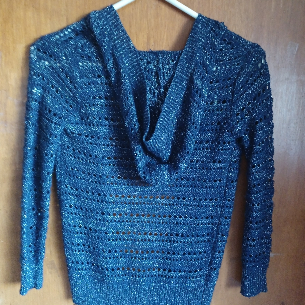 Blush and bloom blue hooded sweater small